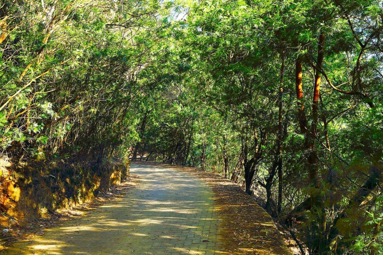 מלון קונור Logan Camp Ooty מראה חיצוני תמונה